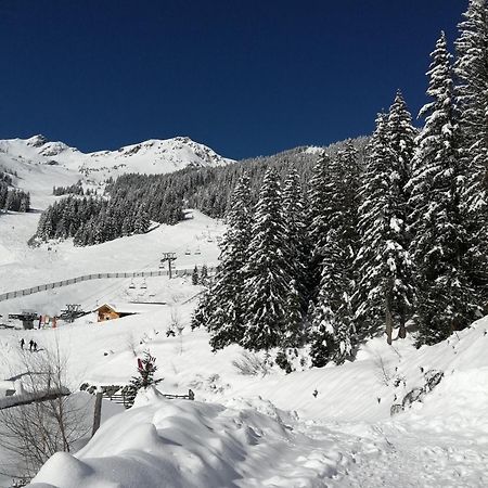 Superbe Studio Aux 7 Laux La Ferrière Dış mekan fotoğraf