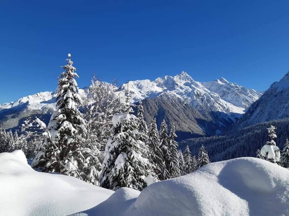 Superbe Studio Aux 7 Laux La Ferrière Dış mekan fotoğraf
