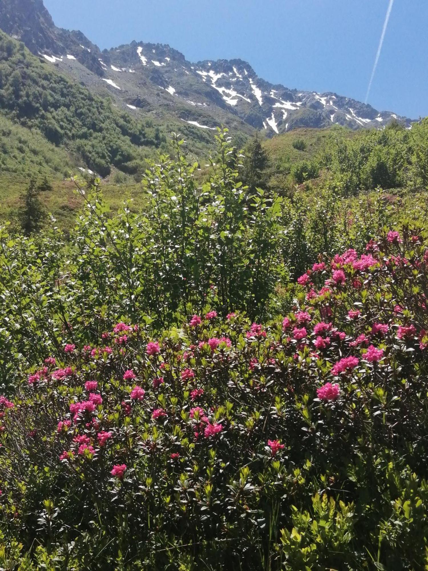 Superbe Studio Aux 7 Laux La Ferrière Dış mekan fotoğraf